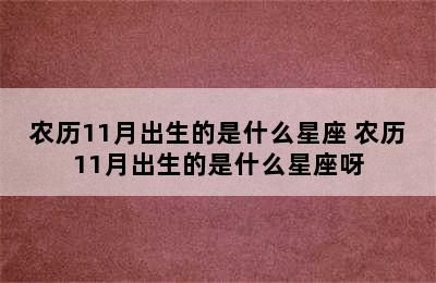 农历11月出生的是什么星座 农历11月出生的是什么星座呀